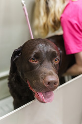 Similar image 22225408