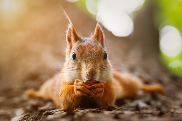 Similar image 22225410