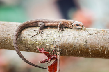 Similar image 22225411