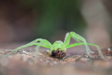 Similar image 22225413