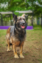 Similar image 22225415