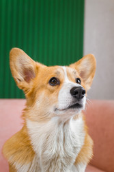 Similar image 22225422