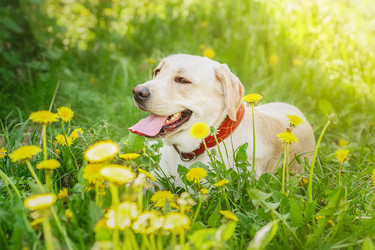 Similar image 22225425