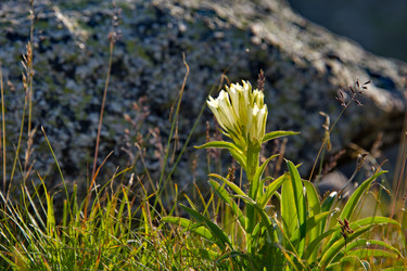 Similar image 22211046