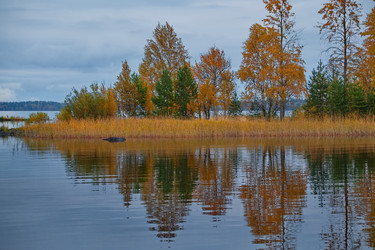 Similar image 22211048