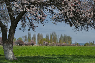 Similar image 22224588