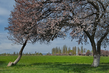 Similar image 22224589