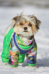 Similar image 22225427