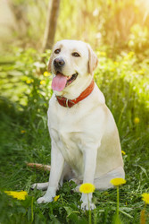 Similar image 22225429