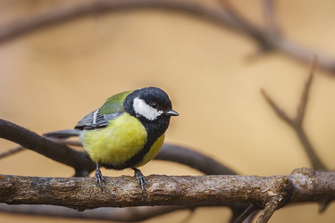 Similar image 22225433