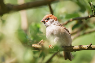 Similar image 22225435