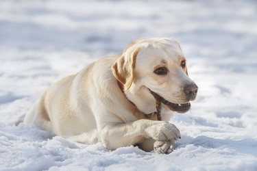 Similar image 22225437