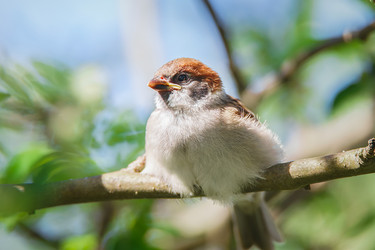 Similar image 22225438