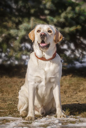 Similar image 22225440