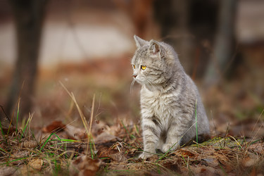 Similar image 22225443