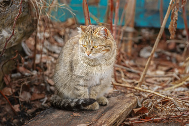 Similar image 22225444