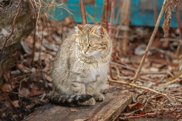 Similar image 22225445