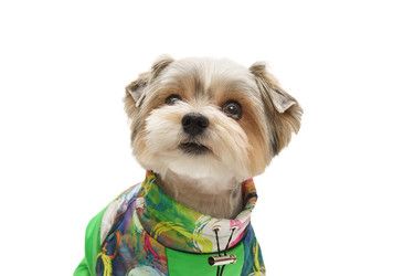 Similar image 22225449