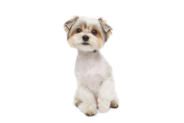 Similar image 22225453