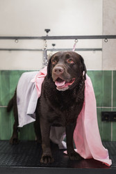 Similar image 22225458