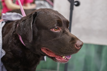 Similar image 22225459