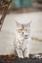 Similar image 22225462