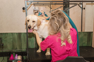 Similar image 22225465