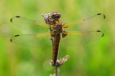 Similar image 22225467