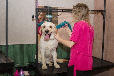 Similar image 22225470