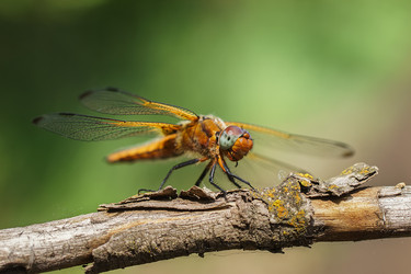 Similar image 22225471