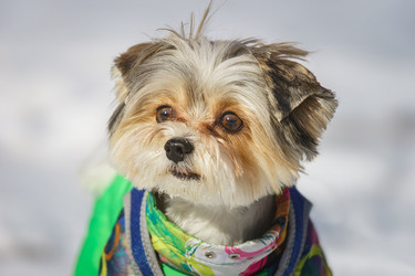 Similar image 22225480