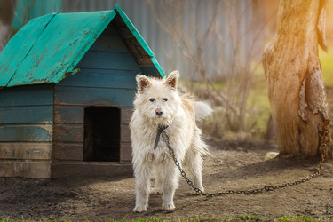 Similar image 22225481