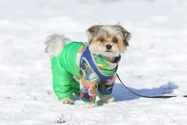 Similar image 22225484