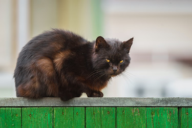 Similar image 22225486