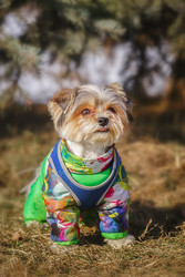 Similar image 22225488