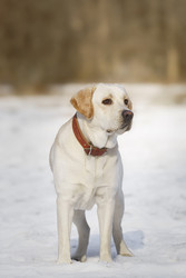 Similar image 22225489