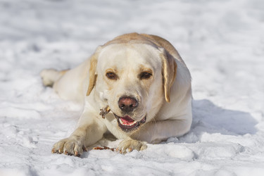 Similar image 22225492