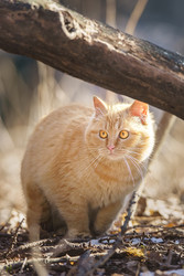 Similar image 22225493