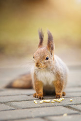 Similar image 22225495