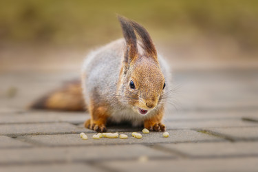 Similar image 22225496