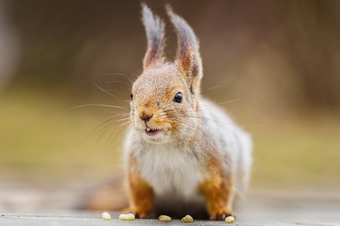 Similar image 22225497