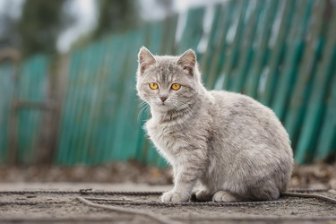 Similar image 22225499