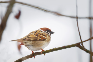 Similar image 22225500