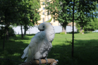 Similar image 22218426