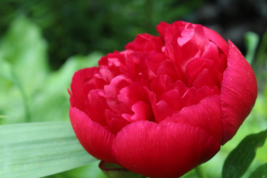 Similar image 22218431