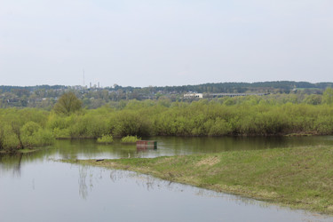 Similar image 22218458