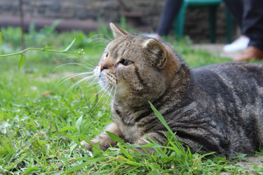 Similar image 22218474