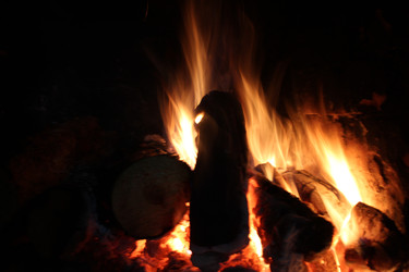 Similar image 22218480