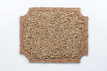 Similar image 22213294