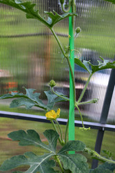 Similar image 22228734